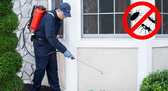 Iğdır Hamam Böceği İlaçlama böcek ilaçlama ve haşere kontrolü — ilaclama-tr.com
